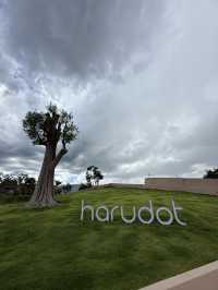 ☕️ Cafe สุดเก๋ กาแฟหอม Harudot เขาใหญ่
