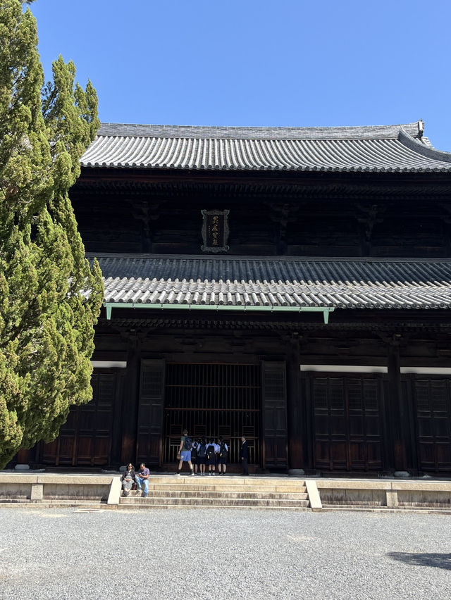 🍃 Hidden Kyoto: Zen Gardens & Tree Views