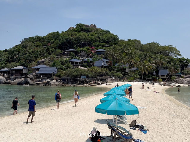 🏝️ รีวิวเกาะนางยวน  | สวรรค์กลางทะเลสุราษฎร์ 