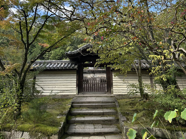 唐招提寺：探索奈良的佛教瑰寶，感受千年文化的深厚底蘊！
