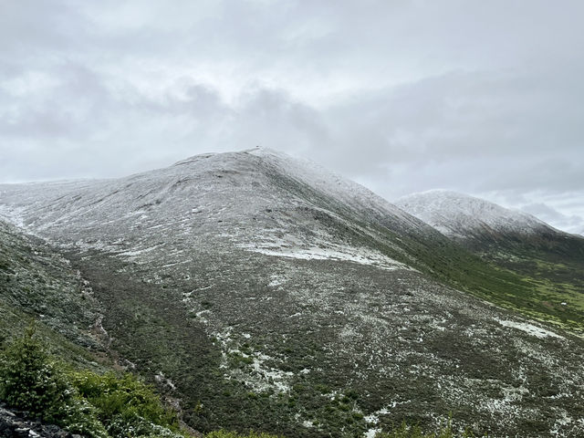 🌈 Kangding’s Muya Holy Land – Where Summer Brings Snow & Rainbows ❄️🐾