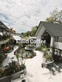 Elaia