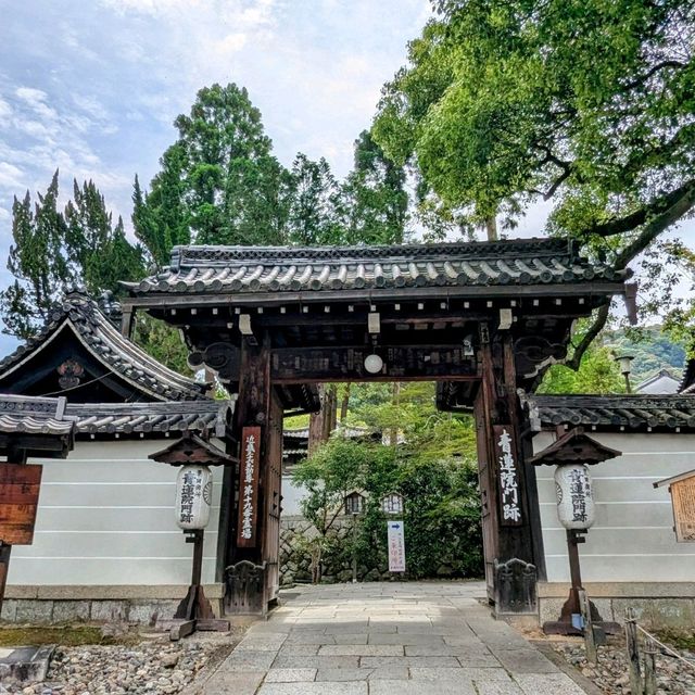 京都 | 青蓮院門跡，東山區優美的賞楓秘境