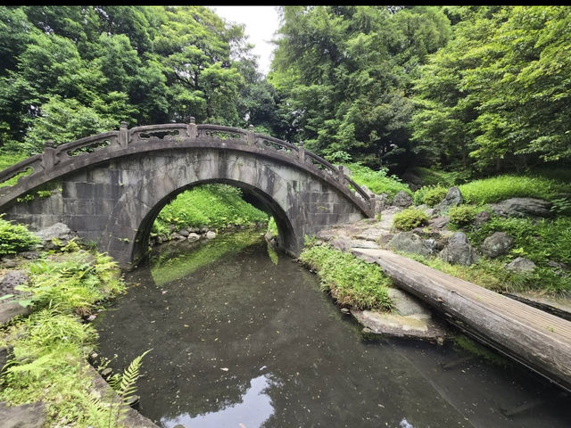 🍁東京・後楽園｜小石川後楽園｜都心のオアシスで、日本と中国の美が融合する庭園散歩🌿✨
