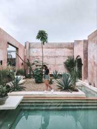 Fo Sho Bro Café – Moroccan Vibes Just Outside Bangkok 🐫☕🌵