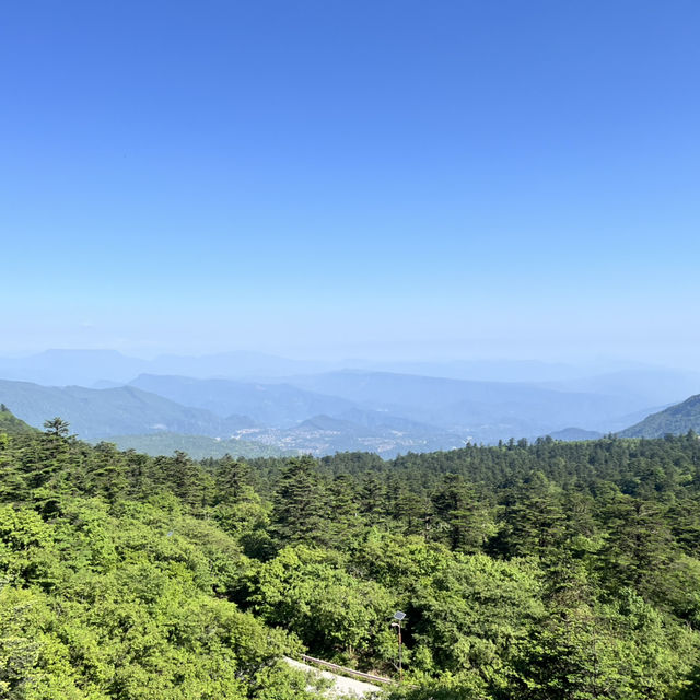 🏔️ Everything You Need to Know About Visiting Mount Emei 峨眉山 – Don’t Go Without Reading This First