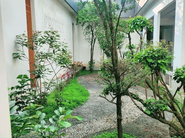 T3有機茶園，山腳打卡到山頂