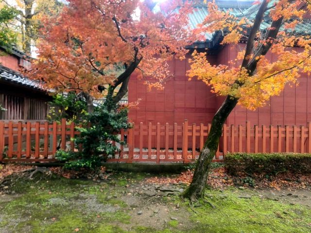 ANA 크라운 플라자 가나자와(ANA Crowne Plaza Kanazawa) 스탠다드 더블룸