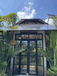 Butterfly Garden in Nuanu