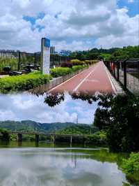 深圳銀湖山郊野公園 • 徒步、騎行