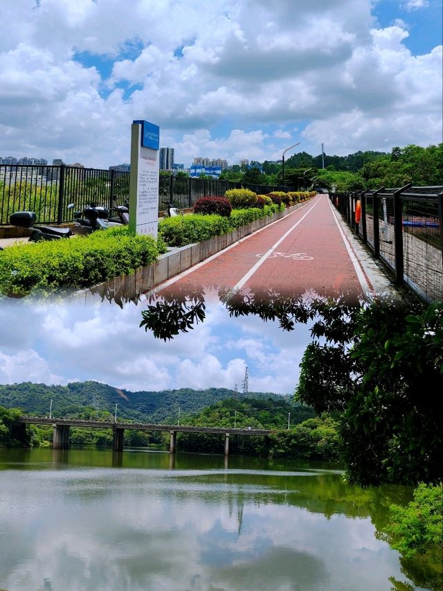 深圳銀湖山郊野公園 • 徒步、騎行