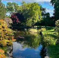 Time-Touched Tranquility: A Gentle Escape to Lauriston Castle