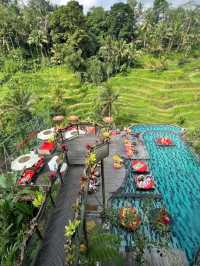  Emerald Steps & Morning Magic: Tegalalang Rice Terrace