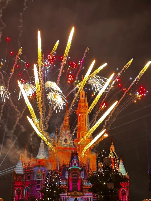 Beyond the Castle: Discover the Unique World of Shanghai Disneyland