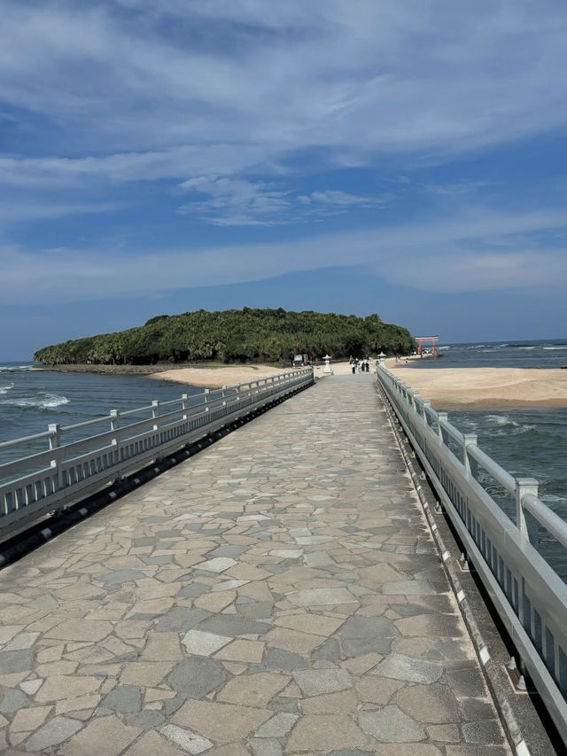 【宮崎】海に浮かぶ神秘の島⛩️青島神社で縁結び旅🌊