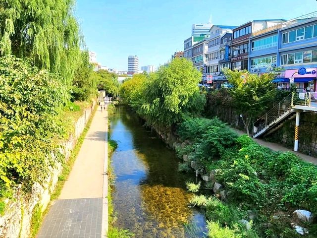 Cheonggyecheon Stream – A Peaceful Walk in the Heart of Seoul
