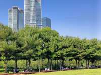 都市綠洲，首爾林的自然公園。