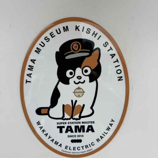 和歌山-貴志車站小玉列車