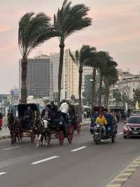 Alexandria: Burned Knowledge By The Sea