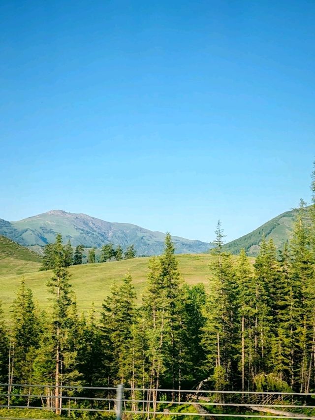 Kanas: Scenery on the Way Back