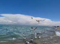 Beyond the Mountains: A Journey to Qinghai Lake