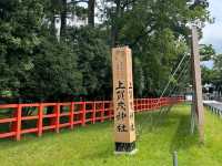 【上賀茂神社】京都最古の神社で心清める⛩️神聖な空気に包まれる癒しの旅