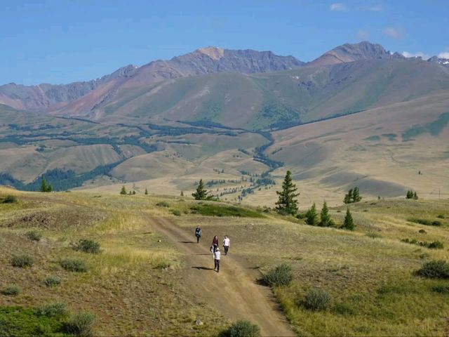 Mountains, Meadows & Endless Views. Strolling the Chuysky Trakt