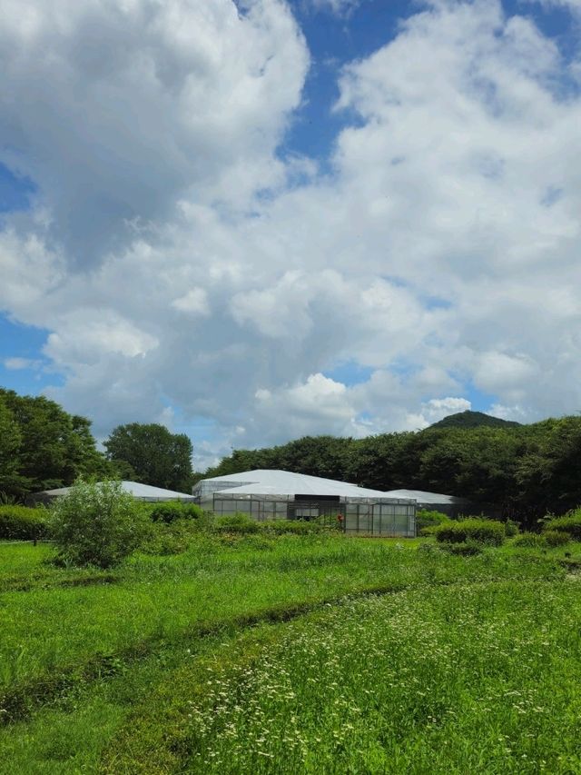 인천대공원 산책로