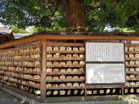 วัดเมจิ (Meiji Jingu) – ศาลเจ้าศักดิ์สิทธิ์