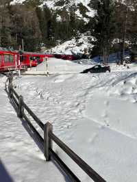 Bernina Express