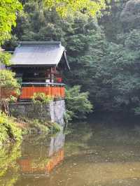 Fujiyama Onsen