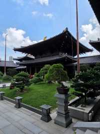 “Tang‑Timber Sanctuary of Zen Elegance”
