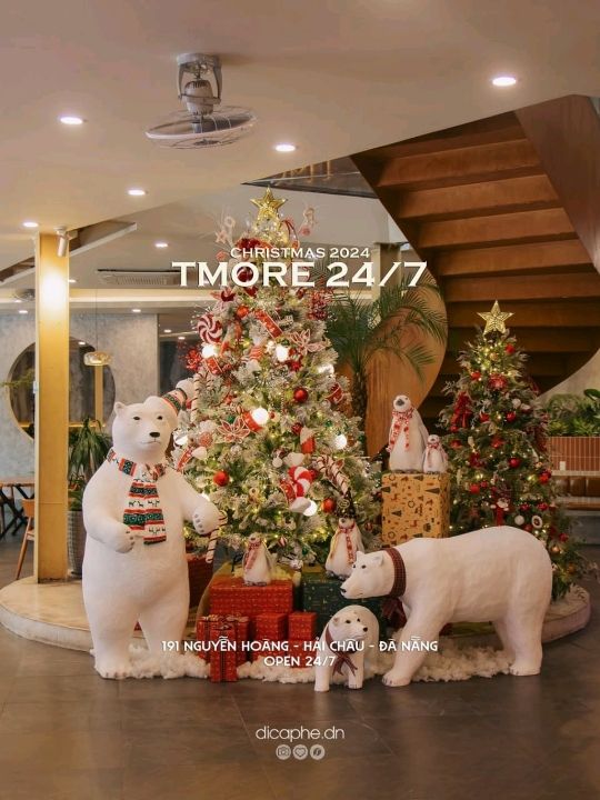 Tmore 24/7 is a vibrant