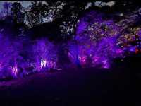 【御船山楽園】四季が彩る幻想庭園で、心ほどけるひととき🌸🍁🌌