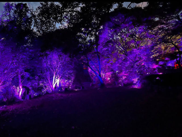 【御船山楽園】四季が彩る幻想庭園で、心ほどけるひととき🌸🍁🌌