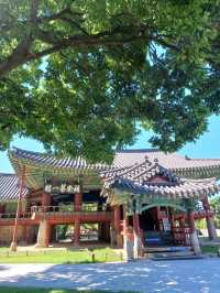 전통 정원 속 여유로운 아침 산책
