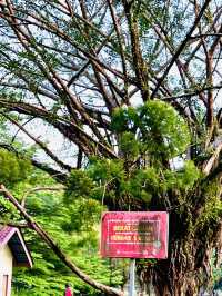 Nature Meets the City at Taman Rekreasi Hiliran