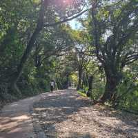 Discover Tranquility on the Erziping Trail