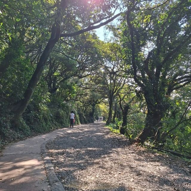 Discover Tranquility on the Erziping Trail