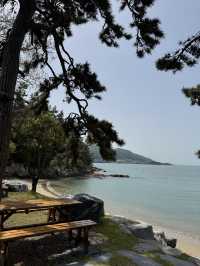 고요한 섬 마을, 목포에서 배를 타고 들어가야 만날 수 있는 외달도