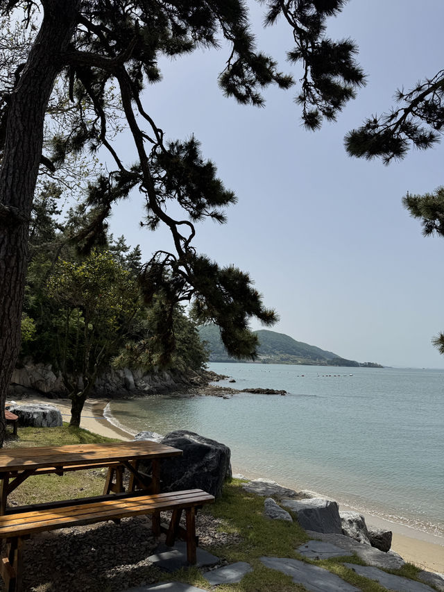 고요한 섬 마을, 목포에서 배를 타고 들어가야 만날 수 있는 외달도 고요한 섬 마을, 목포에서 배를 타고 들어가야 만날 수 있는 외달도