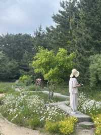푸르른 숲길과 바다빛이 공존하는 치유의 정원, 힐링 산책 🌿🌊 