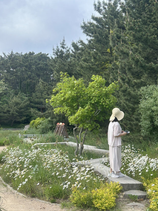 푸르른 숲길과 바다빛이 공존하는 치유의 정원, 힐링 산책 🌿🌊 