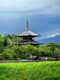 古典聖境—本向寺