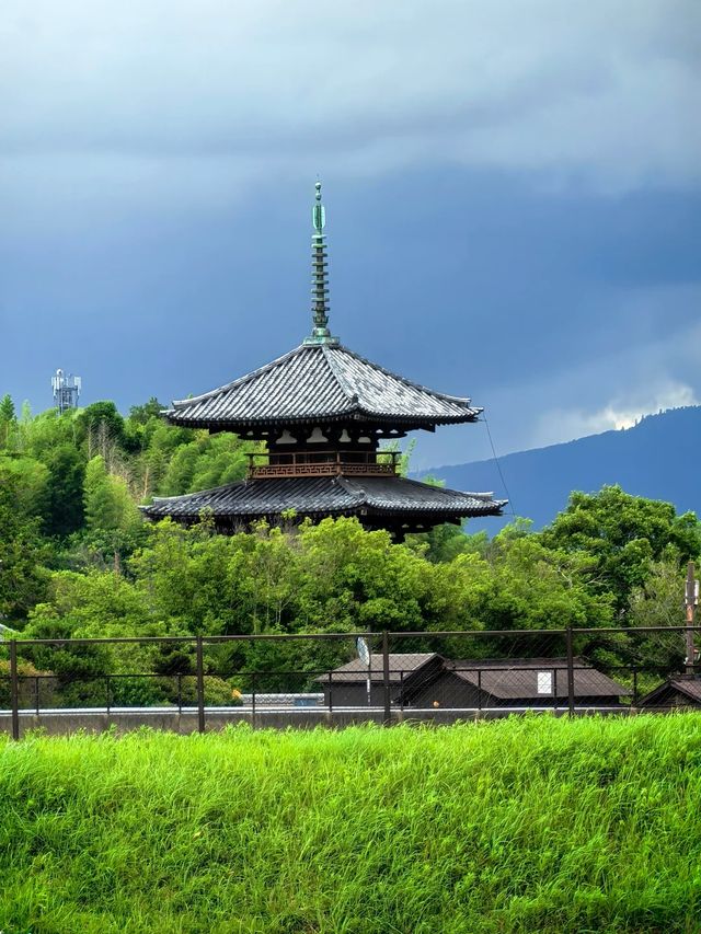 古典聖境—本向寺
