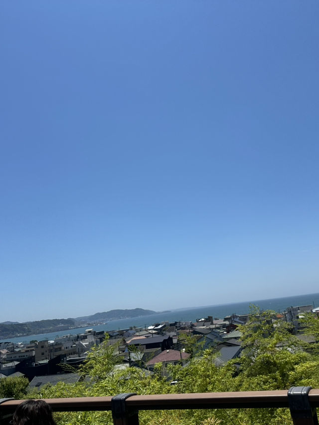 【鎌倉】長谷寺✿ 【鎌倉】長谷寺✿