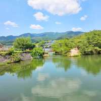 水面を彩る、東温の黄色い花の池💛