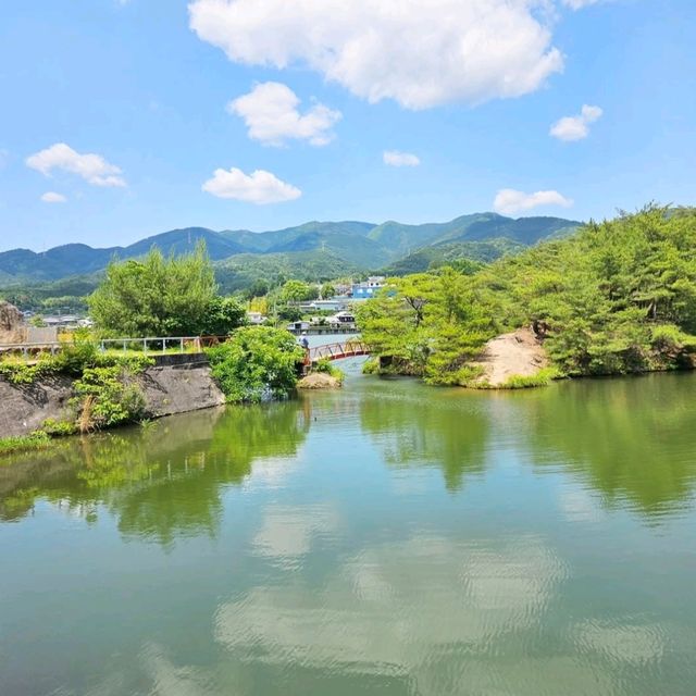 水面を彩る、東温の黄色い花の池💛
