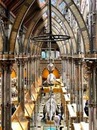 FREE entry, another amazing museum in Oxford, opened in 1860, was established to consolidate the university's scattered scientific collections and facilities into a single, purpose built space.