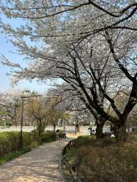 수원화성 성신사